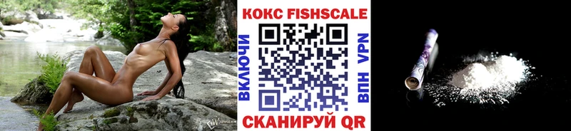 дарк нет состав  mega как войти  Сясьстрой  Кокаин 98% 