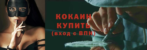 индика Армянск