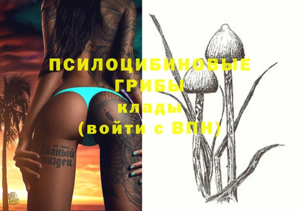индика Армянск