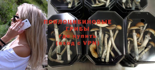 индика Армянск