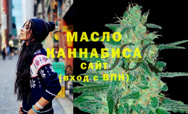 индика Армянск