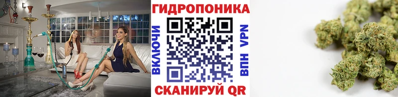 сайты даркнета формула  Сясьстрой  Канабис конопля 